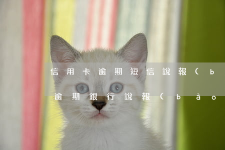 信用卡逾期短信說報(bào)警了(信用卡逾期銀行說報(bào)警立案)