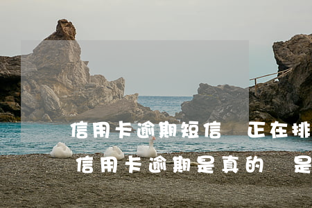 信用卡逾期短信說正在排期(發信息說起訴我信用卡逾期是真的還是催收)