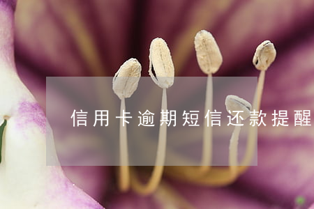 信用卡逾期短信还款提醒