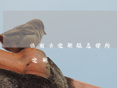 信用卡逾期短息(律所發(fā)短信信用卡逾期)