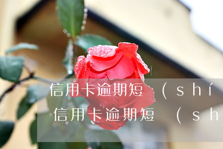 信用卡逾期短時(shí)無(wú)法還 信用卡逾期短時(shí)無(wú)法還款