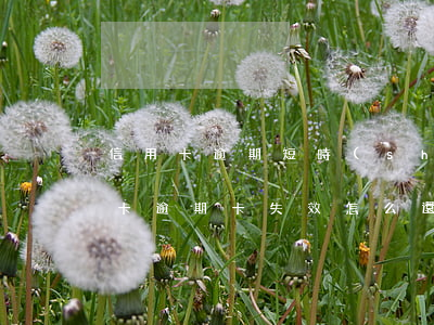 信用卡逾期短時(shí)間無法歸還(信用卡逾期卡失效怎么還)