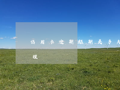 信用卡逾期短期是多久(最新的信用卡逾期處理)