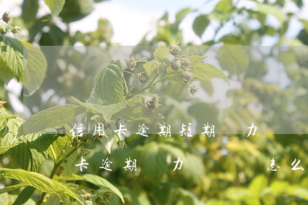 信用卡逾期短期無力償還的怎么辦-欠信用卡逾期無力償還該怎么辦
