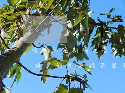 信用卡逾期确实没有钱还怎么办啊(信用卡逾期真的是没钱还家里也没钱怎么办)