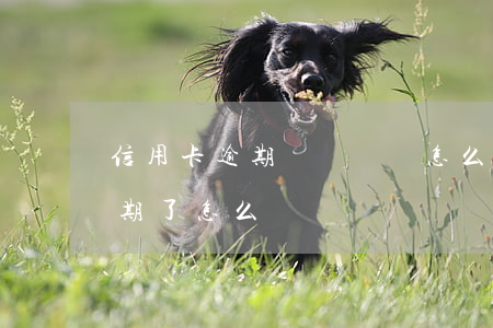 信用卡逾期確實沒錢怎么辦(沒錢還信用卡逾期了怎么辦)