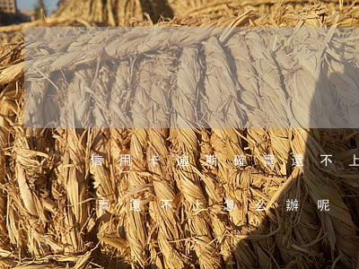 信用卡逾期確實還不上怎么辦(信用卡逾期確實還不上怎么辦呢)