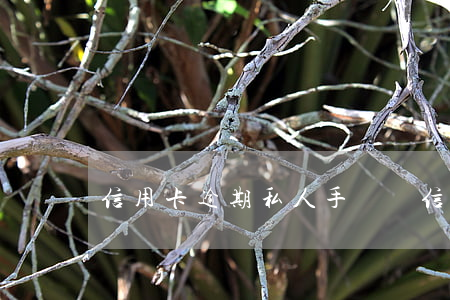 信用卡逾期私人手機號(信用卡逾期私人手機號)