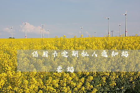 信用卡逾期私人通知起訴(信用卡逾期私人號碼說要起訴)