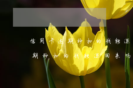 信用卡逾期秒扣的钱能退回来吗-信用卡逾期秒扣的钱能退回来吗怎么办