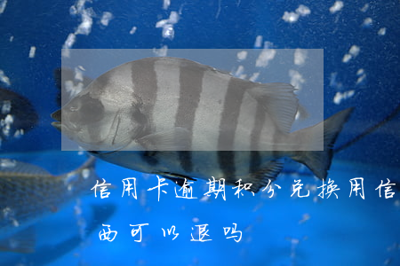 信用卡逾期积分兑换(用信用卡积分兑换的东西可以退吗)