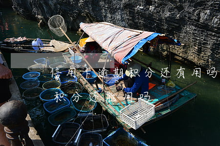 信用卡逾期积分还有用吗(信用卡逾期停用了积分还能用吗)