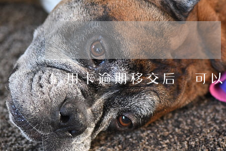 信用卡逾期移交后還可以協(xié)商嘛