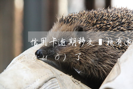 信用卡逾期移交審核(有逾期信用卡初審過(guò)了)