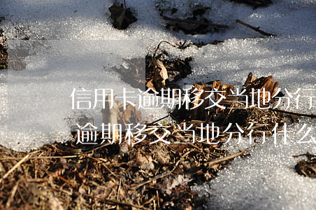 信用卡逾期移交当地分行什么意思-信用卡逾期移交当地分行什么意思啊