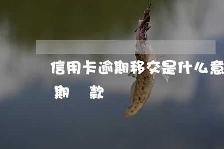 信用卡逾期移交是什么意思(什么叫信用卡逾期還款)