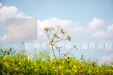 信用卡逾期移交案件流程(信用卡逾期處理流程)