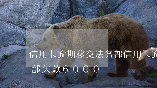 信用卡逾期移交法务部(信用卡逾期移交法务部欠款6000)