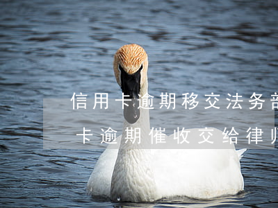 信用卡逾期移交法务部门怎么办(银行将信用卡逾期催收交给律师事务所)
