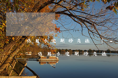 信用卡逾期移交法務(wù)部門怎么辦理-信用卡逾期移交法務(wù)部門怎么辦理手續(xù)