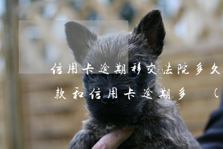 信用卡逾期移交法院多久開(kāi)庭 貸款和信用卡逾期多長(zhǎng)時(shí)間會(huì)移交法院
