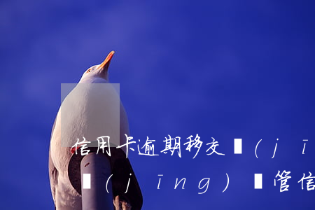 信用卡逾期移交經(jīng)偵需要資料(經(jīng)偵管信用卡逾期嗎)