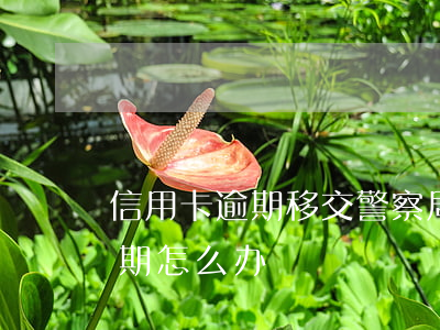 信用卡逾期移交警察局(被行政拘留信用卡逾期怎么办)