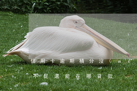 信用卡逾期積分沒(méi)有了 信用積分不足還能在哪貸款