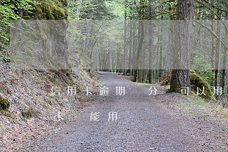 信用卡逾期積分還可以用嗎(征信逾期了信用卡還能用嗎)