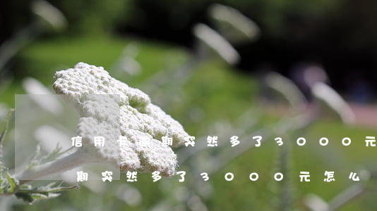 信用卡逾期突然多了3000元-信用卡逾期突然多了3000元怎么辦