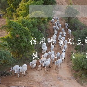 信用卡逾期立即注銷(逾期注銷的信用卡還能恢復(fù)嗎)