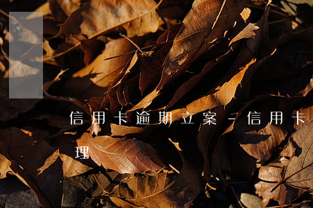 信用卡逾期立案-信用卡逾期立案了怎么處理