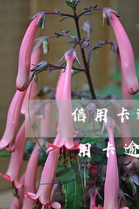 信用卡逾期立案不去有事情么(因刑事案件信用卡逾期怎么辦)