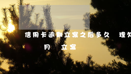 信用卡逾期立案之后多久處理(欠信用卡逾期幾個月會立案)