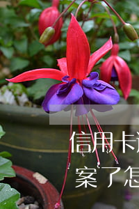 信用卡逾期立案了怎么辦上海(信用卡逾期立案了怎么辦上海銀行)