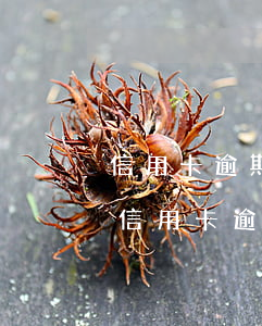 信用卡逾期立案了怎么辦興業(yè)-欠信用卡逾期幾個月會立案