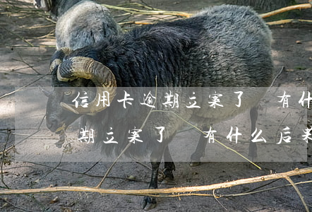 信用卡逾期立案了會有什么后果-信用卡逾期立案了會有什么后果嗎