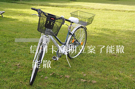 信用卡逾期立案了能撤銷嗎(信用卡逾期能不能撤銷)