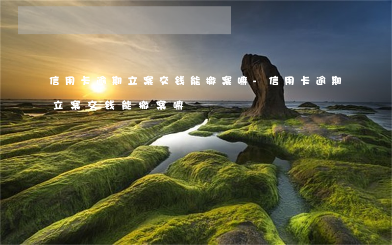 信用卡逾期立案交钱能撤案嘛-信用卡逾期立案交钱能撤案嘛