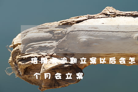 信用卡逾期立案以后会怎样(欠信用卡逾期几个月会立案)