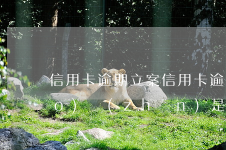 信用卡 逾期 立案(信用卡逾期立案標(biāo)準(zhǔn)是多少)