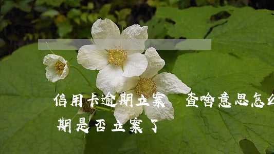 信用卡逾期立案偵查啥意思(怎么查信用卡逾期是否立案了)