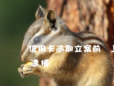 信用卡逾期立案前會上門嗎(欠信用卡會上門逮捕嗎)
