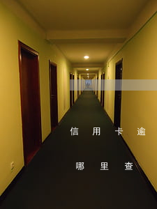 信用卡逾期立案去哪里查(信用卡逾期立案去哪里查)