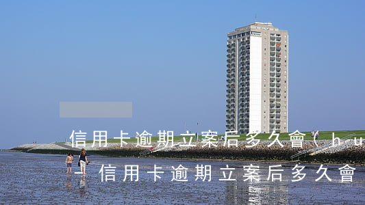 信用卡逾期立案后多久會(huì)被拘留-信用卡逾期立案后多久會(huì)被拘留