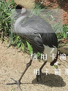 信用卡逾期立案后多久開庭-法院會受理信用卡逾期案件嗎