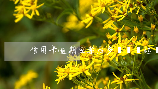 信用卡逾期立案后多長時間起訴