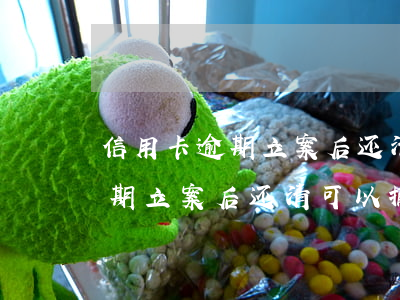 信用卡逾期立案后还清可以撤案嘛（信用卡逾期立案后还清可以撤案）