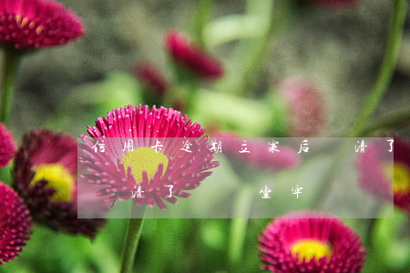信用卡逾期立案后還清了(信用卡逾期立案后還清了還會坐牢嗎)