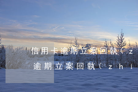 信用卡逾期立案回執(zhí)編號(信用卡逾期立案回執(zhí)編號查詢)